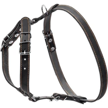 Шлея одинарная Collar для мелких, средних собак, 20мм, черный: Производитель Collar