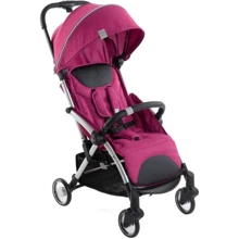 Коляска Chicco Goody Plus Stroller (79877.17): Тип коляски Прогулочная