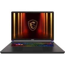 Ноутбук MSI Vector 17 HX AI A2XWIG (A2XWIG-030RO): Экран 17" IPS (2560x1600)