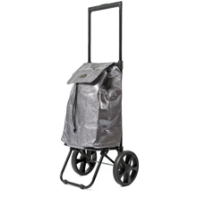 Сумка-тележка Epic City X Shopper Evolution 33 Glitter Silver (926138): Цвет серебристый