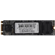 AMD Radeon R3 256 GB (R3MS0256G8): Тип накопителя внутренний