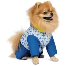 Костюм для собак Pet Fashion TENDER S (PR242764): Тип Костюмы