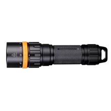 Ліхтар Fenix SD11: Тип ручний