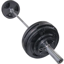 Штанга Newt олимпийская 150 кг (TI-NE0150-2200): Тип Наборные