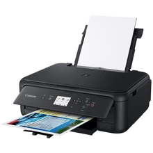 МФУ Canon PIXMA TS5140 (2228C007) UA: Класс устройства персональный