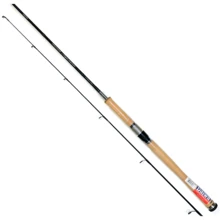 Спінінгові вудилище Team Daiwa Specialist Jigg 2.4m 6-18g: Тип вудлища спиннинговое