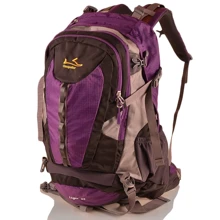 Женский рюкзак Onepolar фиолетовый (W1597-violet): Пол Женский