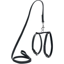 Шлея круглая WAUDOG Glamour с поводком для кошек и мелких собак 9 мм 30-40 см черная (33991): Производитель WAUDOG