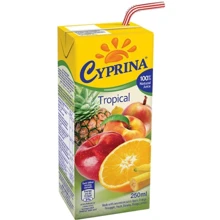 Сок тропический Cyprina Tropical Juice, 0.25л (52920943): Объем, л 0.25