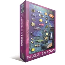Пазл EuroGraphics "Коралловый риф", 1000 элементов (6000-1170): Производитель EuroGraphics