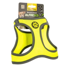 Шлей GimDog Alfresco для собак неопрен жовтий S 37-40 см (080333704016): Виробник GimDog