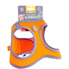 Шлея для собак GimDog Alfresco неопрен S 37-40 см оранжевая (8009632059921): Производитель GimDog