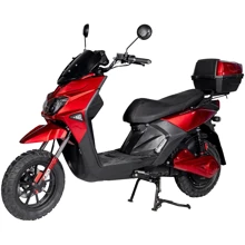 Электроскутер Atlas Fox 2000W Red: Допустимая нагрузка, кг 200