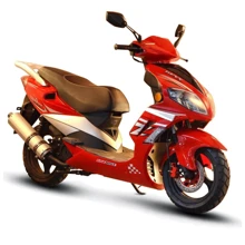 SKYBIKE PATROL/DEXX 150 RED: Цвет красный