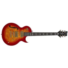Электрогитара FRAMUS AK1974 CUSTOM (SB): Тип Электрогитара