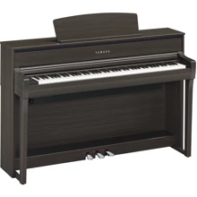 Цифровое пианино YAMAHA Clavinova CLP-675 DW/E: Тип Сценические