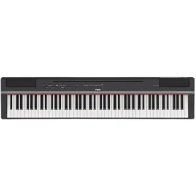 Цифровые фортепиано YAMAHA P-125A (Black): Тип Сценические