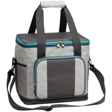 Time Eco TE-320S 20L (6215028111575GREY): Тип термосумка