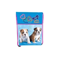 Сумка для взуття CLASS 9838 Lovely Puppies 46х33см: Стать для дівчаток