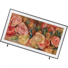 Телевизор Samsung QE43LS03DAUXUA: Тип QLED-телевизоры