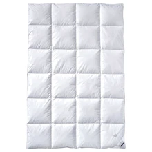 Одеяло Billerbeck E04 Goldedition Mono 200x220 (5542258006): Тип Всесезонные