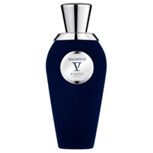 Духи V Canto Magnificat 100 ml: Вид Духи