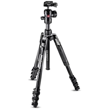 Manfrotto Befree Advanced Travel Aluminum Tripod with 494 Ball Head (MKBFRLA4BK-BH): Тип штатива профессиональный
