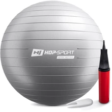 Мяч для фитнеса Hop-Sport 55 см + насос серебристый (HS-R055YB): Диаметр, см 55