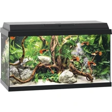 Аквариум Juwel PRIMO 60 LED черный (4022573253603): Производитель Juwel