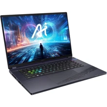 Ноутбук Gigabyte AORUS 16X (2024) (9KG-43EEC54SD): Экран 16" IPS (2560x1600)