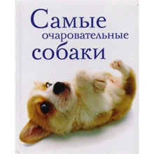 Самые очаровательные собаки: Производитель Центрполиграф