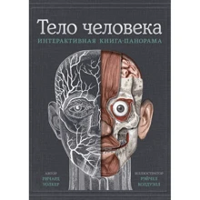 Річард Уолкер: Тіло людини. Інтерактивна книга-панорама: Виробник Манн, Іванов і Фербер