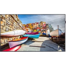 Монитор Samsung LH55PMHPBGC/EN: Покрытие экрана матовое