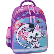 Школьный рюкзак Bagland Mouse 502 фиолетовый (0051370): Возрастная группа от 10 до 13 лет