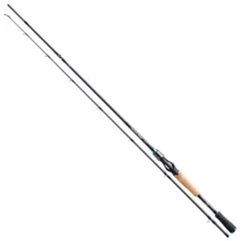 Спінінгові вудилище Daiwa POWERMESH BC 1.68M 60-120gr (11918-165): Тип вудлища спиннинговое