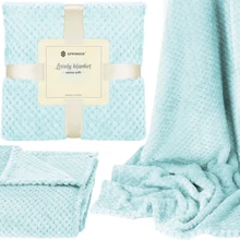 Плед Springos Extra Soft 200x220 см мятный (HA7104): Производитель Springos