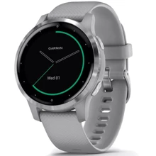 Смарт-часы Garmin vivoactive 4S Powder Gray/Silver (010-02172-03/010-02172-01): Производитель Garmin