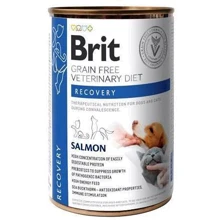 Влажный корм для собак и котов Brit GF Veterinary Diets Dog + Cat Can Recovery 400 г (8595602536191): Тип Влажный корм