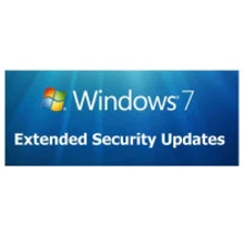Операционная система Microsoft Windows 7 Extended Security Updates 2022 Annual (DG7GMGF0FL73_0004_P1Y_A): Производитель Microsoft