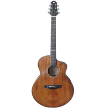 Електроакустична гітара Alfabeto Solid EleganceEQ Awesome + чохол: Тип Электро-акустическая гитара