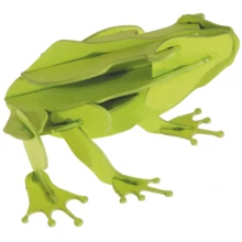 Жаба Frog Fridolin 3D модель: Вид Флора і фауна