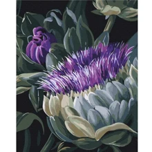 Картина за номерами Brushme Дивні квіти ©Yana Biluhina 40х50 см (BS54059): Виробник Brushme
