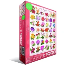 Пазл EuroGraphics "Розы", 1000 элементов (6000-0593): Производитель EuroGraphics