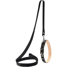 Ошейник с поводком Collar капроновый 14 мм 25-33 см черный (05481): Производитель Collar