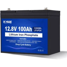 DC HOUSE LiFePO4 12V 100Ah: Тип Аккумулятор