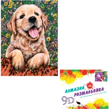 Картина 3-D эффект CY2323 2в1 Алмазная мозаика+раскраска, 40х50 см: Производитель 3D
