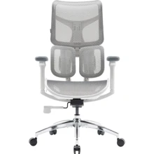 Офисное кресло Sihoo DORO S100 Mesh White (S100-M302): Тип для руководителей