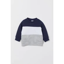 Свитшот H&M 1012-7439040 80 см разноцветный: Пол Мальчик
