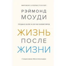 Реймонд Моуді: Життя після життя: Виробник Колібрі