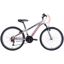 Discovery RIDER 2021 M 24" серебристо-оранжевый (OPS-DIS-24-264): Диаметр колес, дюймов 24